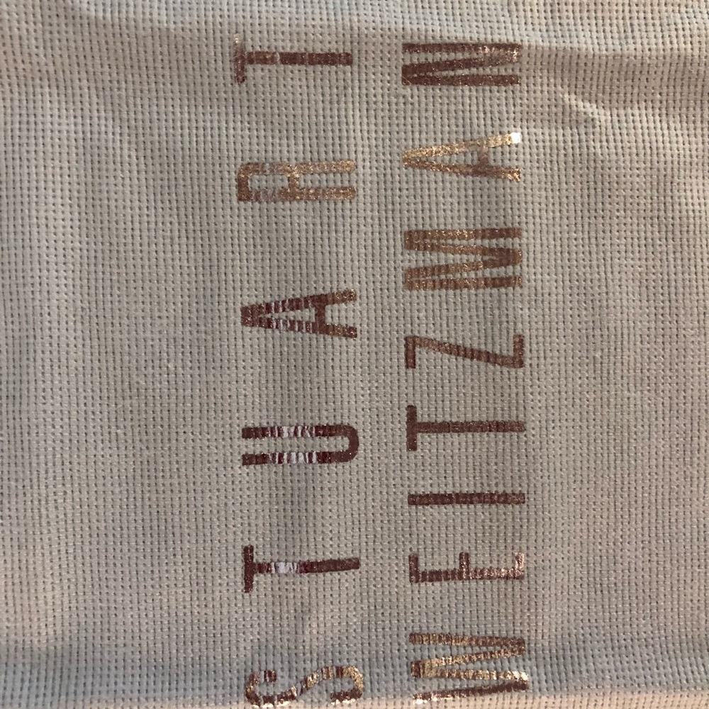 Stuart Weitzman Dust Cover